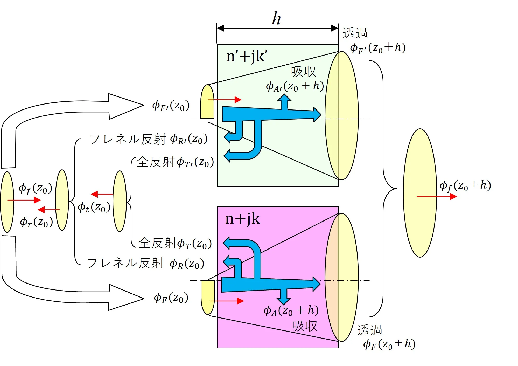 wsbの計算モデル